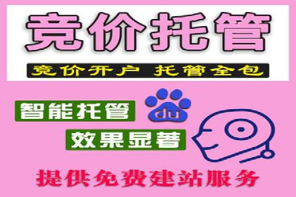 百度推广效果评估：案例与数据分析